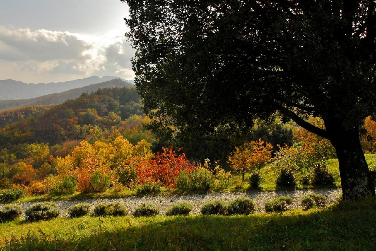 Agriturismo Giandriale Tavarone Eksteriør bilde