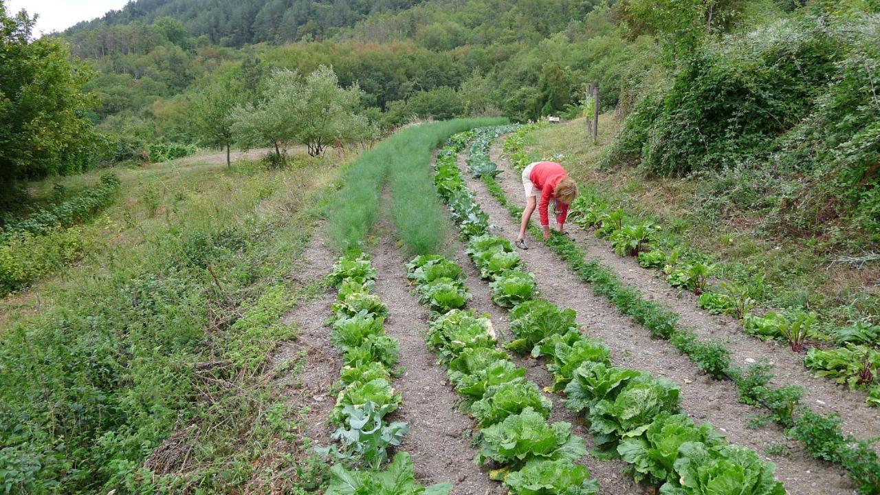 Agriturismo Giandriale Tavarone Eksteriør bilde